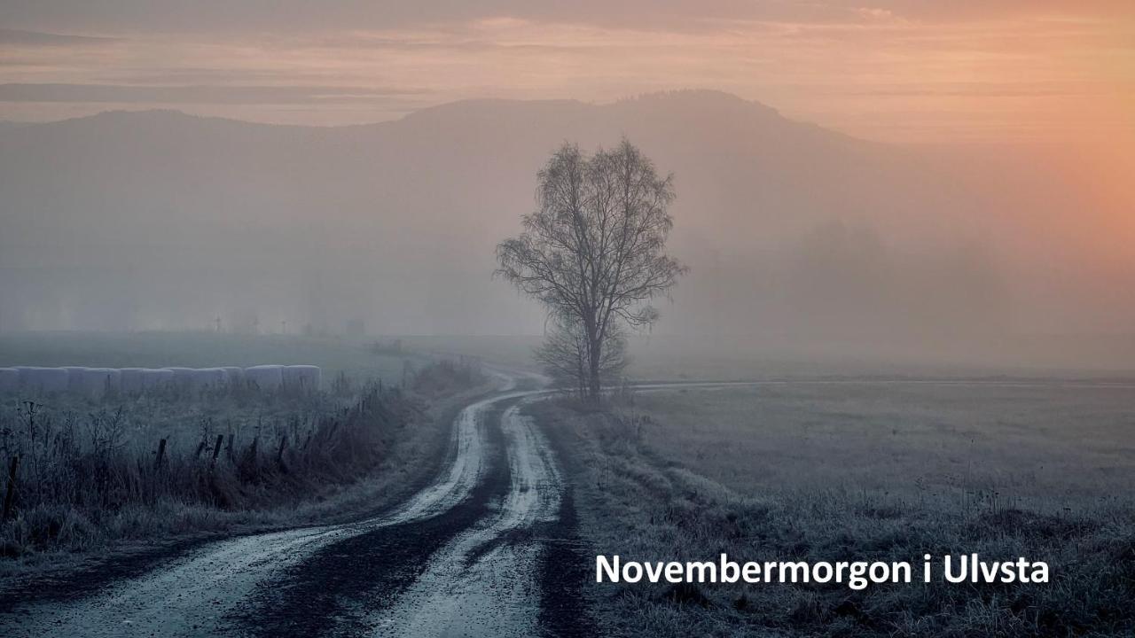 Nyrenoverat Boende I Vackra Järvsö エクステリア 写真