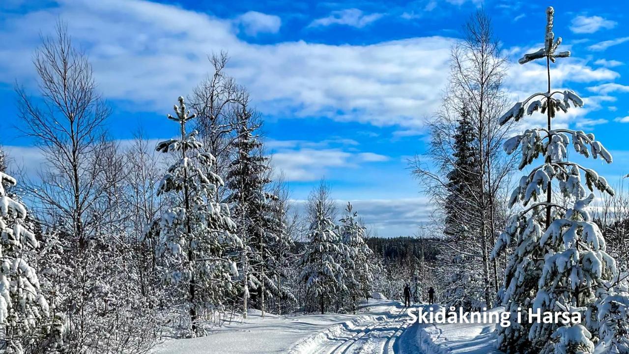 Nyrenoverat Boende I Vackra Järvsö エクステリア 写真